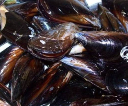 Moule