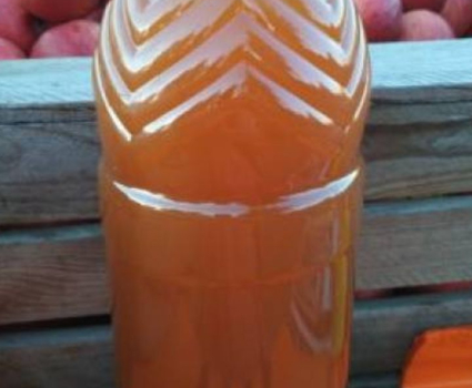JUS de pommes pasteurisé BIO